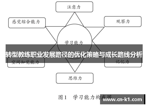 转型教练职业发展路径的优化策略与成长路线分析