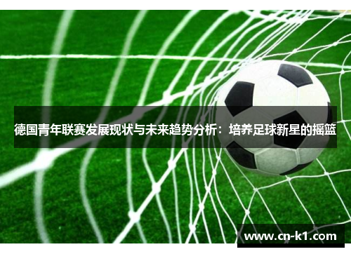 德国青年联赛发展现状与未来趋势分析：培养足球新星的摇篮