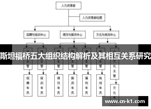 斯坦福桥五大组织结构解析及其相互关系研究