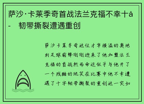 萨沙·卡莱季奇首战法兰克福不幸十字韧带撕裂遭遇重创