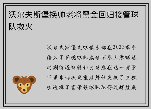 沃尔夫斯堡换帅老将黑金回归接管球队救火